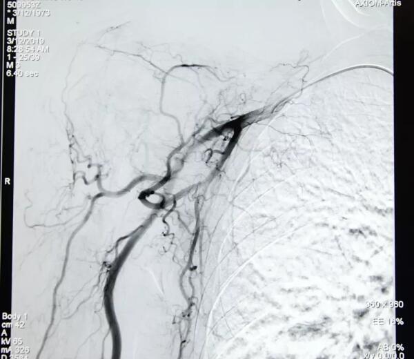 ny21_140517.jpg t5.jpg