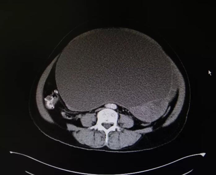 ny23_201377.jpg 321.jpg