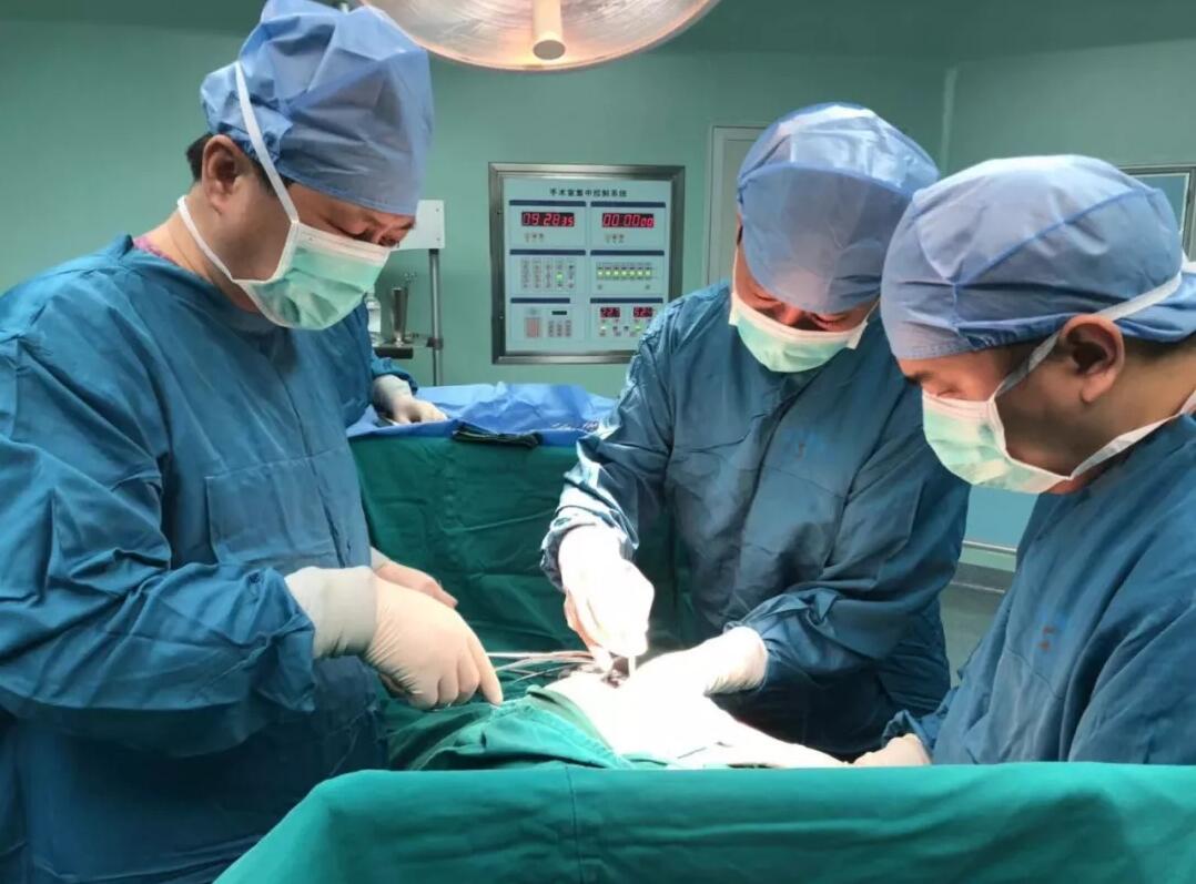 ny23_342545.jpg ny23_342545.jpg