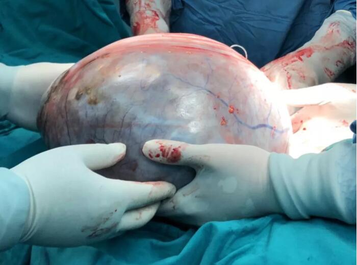 ny23_771382.jpg 324.jpg