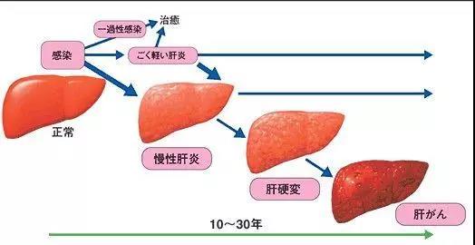 ny27_519914.jpg k26.jpg