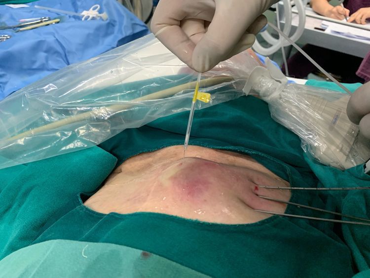 ny11_448924.jpg m7.jpg