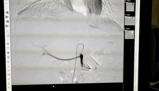 ny08_833231.gif 640 (1).gif