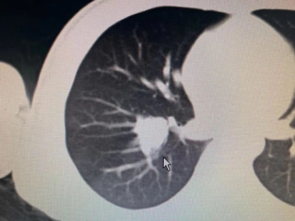 ny11_291306.jpg n14.jpg