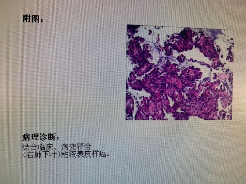 ny11_321135.jpg n18.jpg