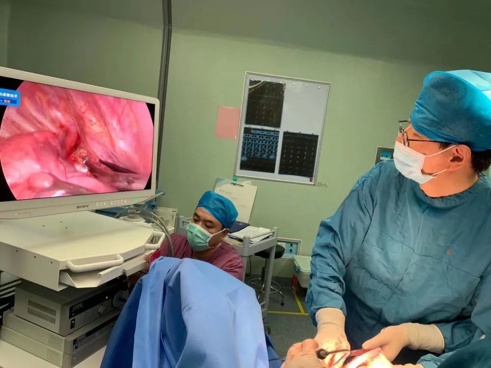 ny11_484454.jpg n16.jpg