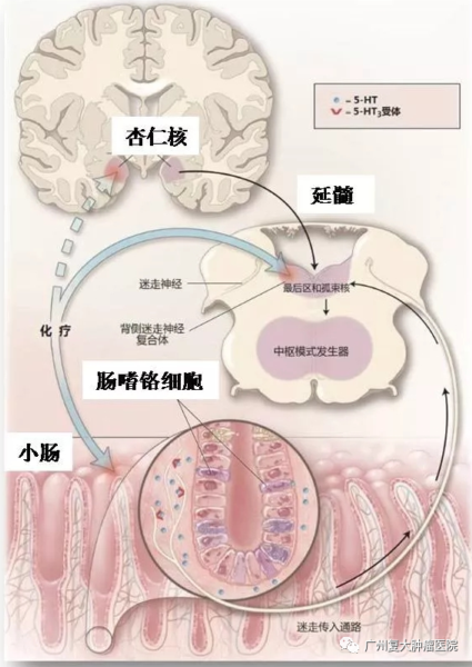 ny21_116269.png a5 (425x600).png