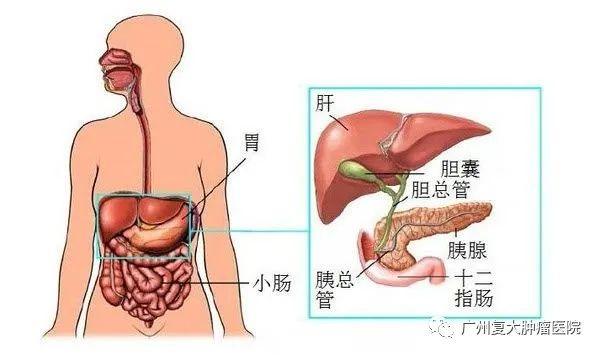 ny08_232523.jpg 23 (600x355).jpg
