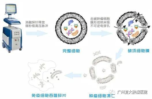 ny08_657611.jpg 24 (527x343).jpg