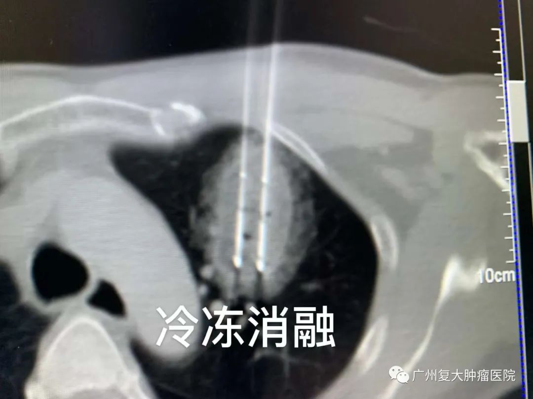 ny04_519888.jpg xx5.jpg