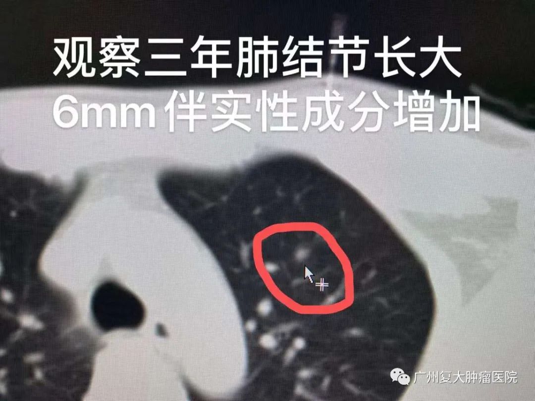 ny04_647361.jpg xx2.jpg