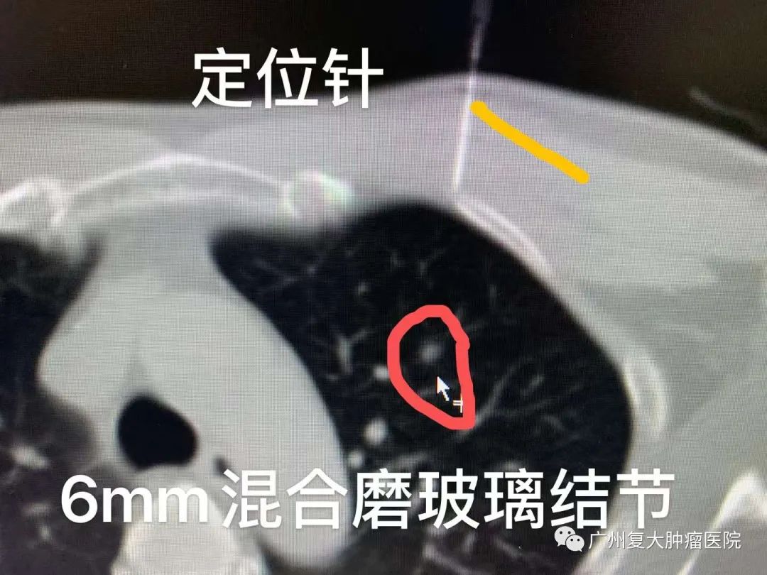 ny04_916673.jpg ny04_916673.jpg