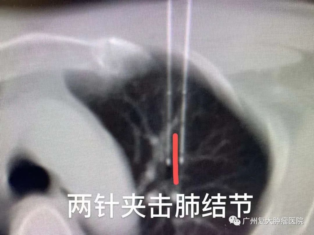 ny04_999616.jpg xx6.jpg