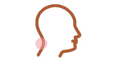 ny26_388767.jpg 217.jpg