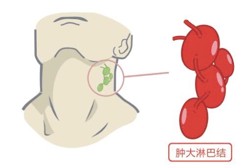 ny26_405477.jpg ny26_405477.jpg