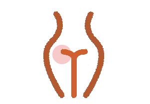 ny26_592550.jpg 213.jpg