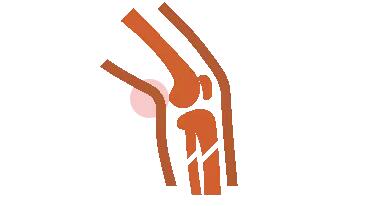 ny26_670266.jpg 218.jpg