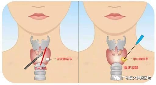 ny04_146712.jpg ny04_146712.jpg