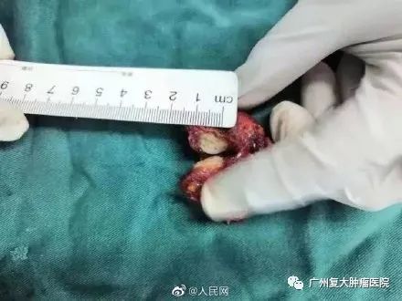 ny04_736613.jpg g2.jpg