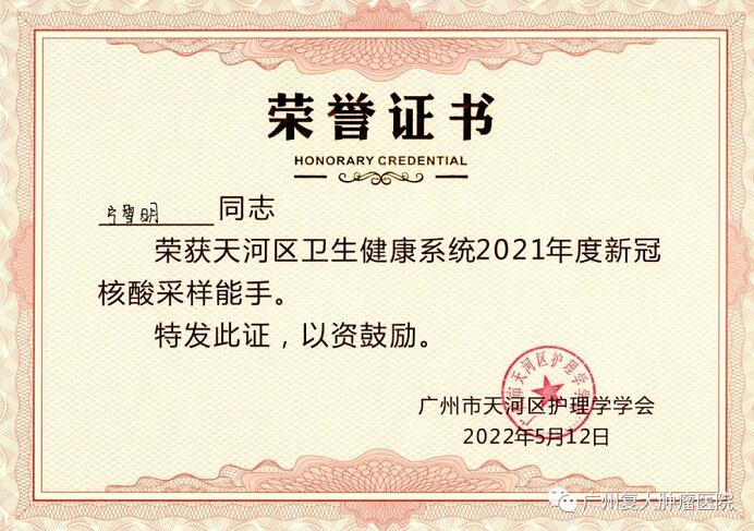 ny13_730158.jpg b16.jpg