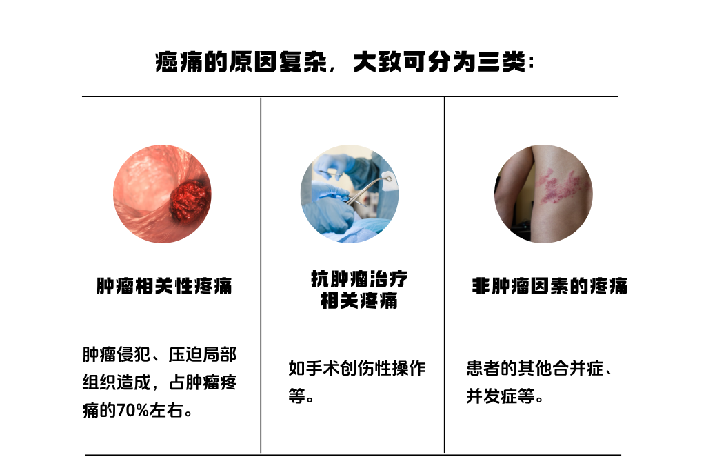 美味甜品介紹手繪風(fēng)橫板配圖__2025-10-21+11_52_28.png